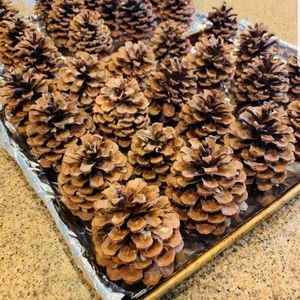 Scented Pinecones